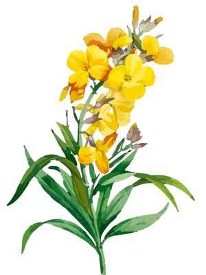 FLORES AMARELAS E FOLHAGEM