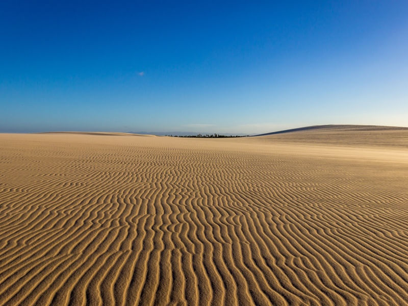 OASIS NORDESTINO