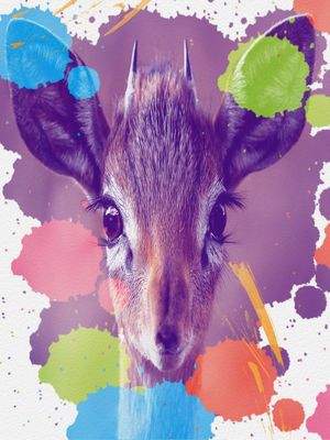 ANIMAL EM AQUARELA