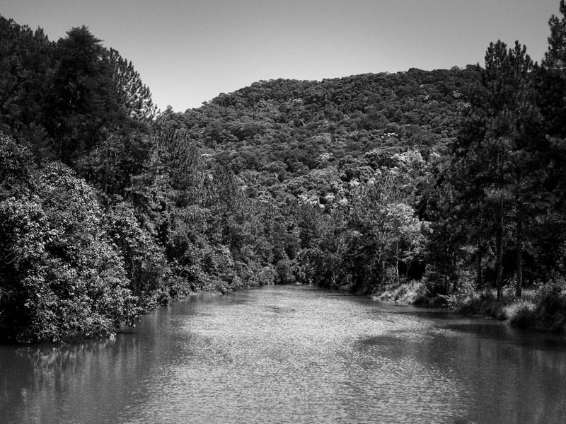 CLAREIRA