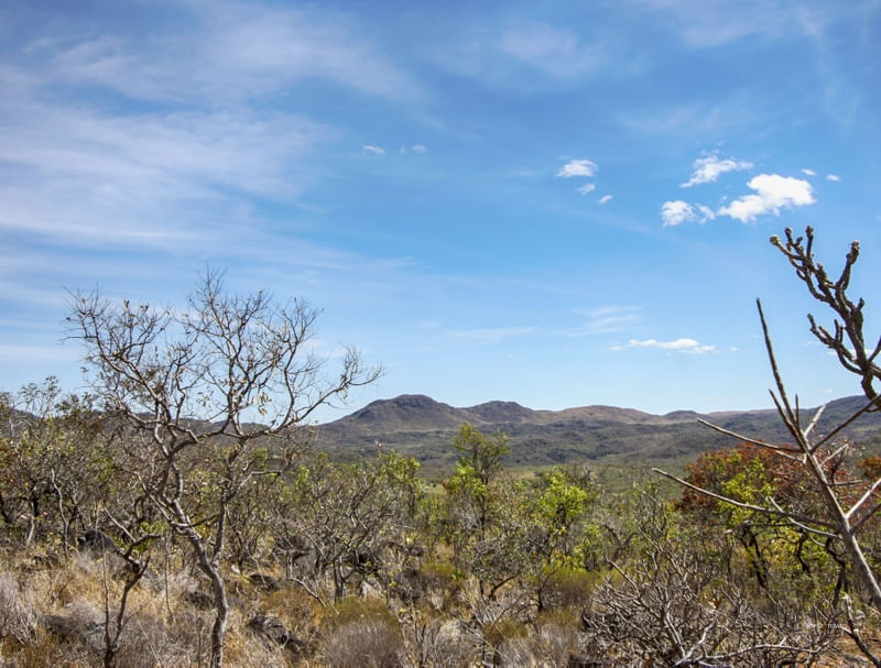 PAISAGEM DO CERRADO BRASILEIRO