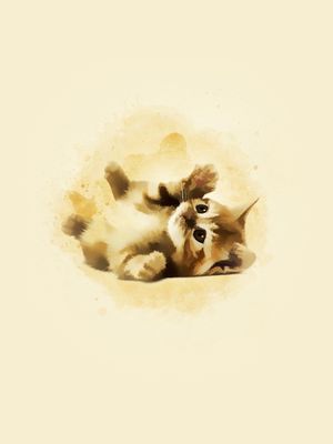 GATO BEBÊ # 5