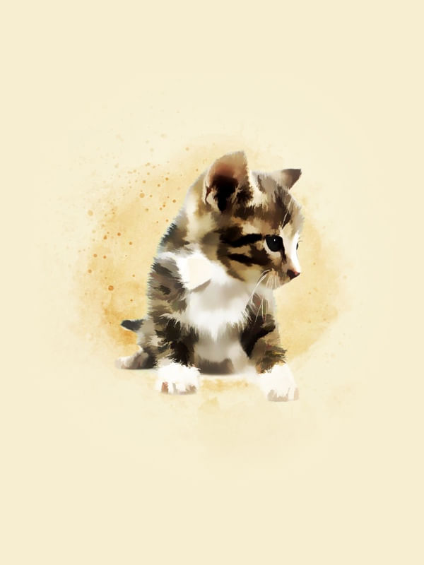 GATO BEBÊ # 7