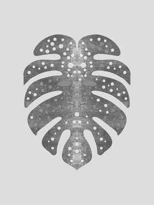 MONSTERA GOLD 015