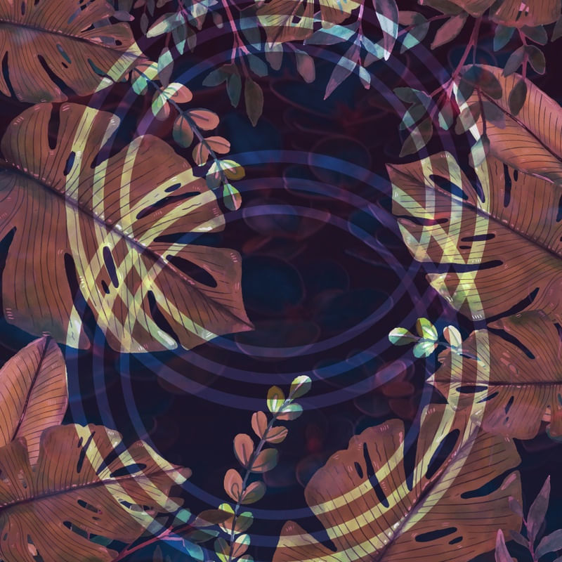 FOREST 001 C SQ