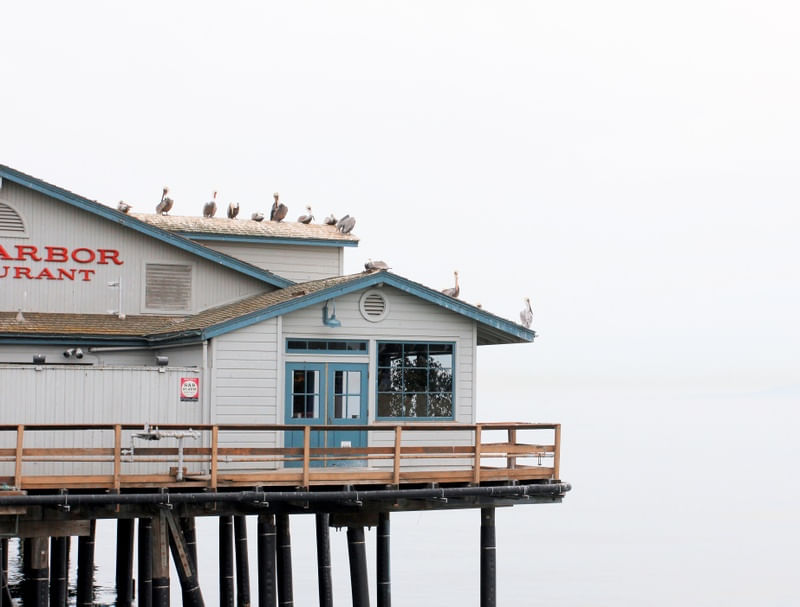 HARBOR RESTAURANT