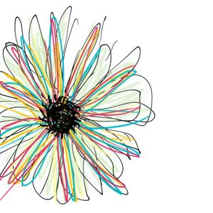 FLOR DE LINHAS