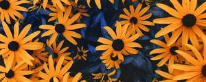 FLORAIS AMARELOS
