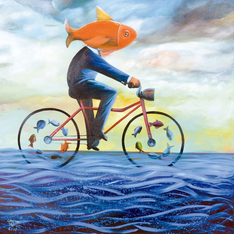 CICLO FISH
