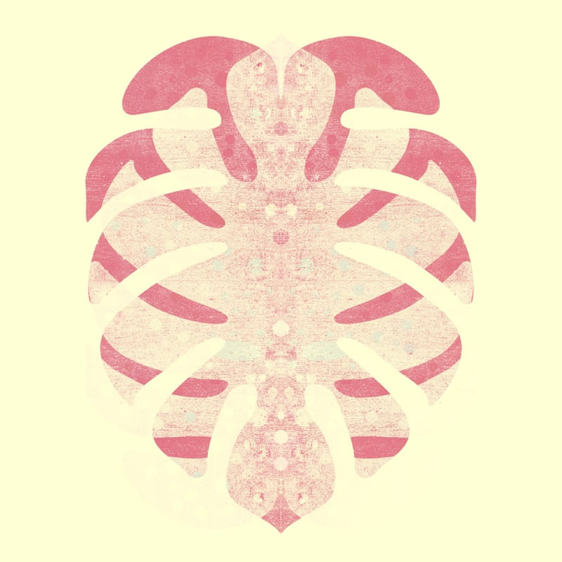 MONSTERA GOLD 024 D SQ