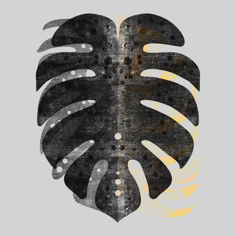 MONSTERA GOLD 035 E SQ