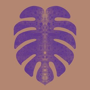 MONSTERA GOLD 021 SQ