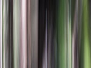 FOTOGRAFIA ABSTRATA 01