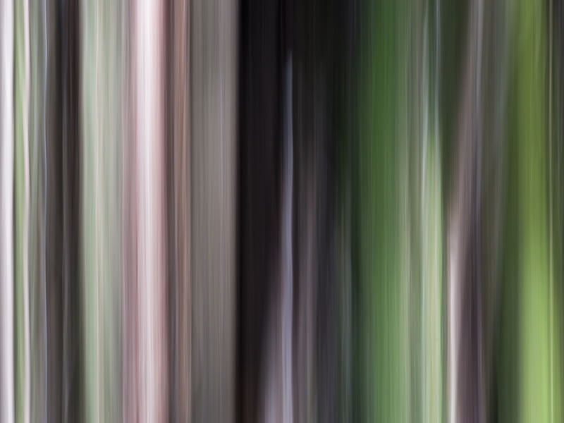 FOTOGRAFIA ABSTRATA 01