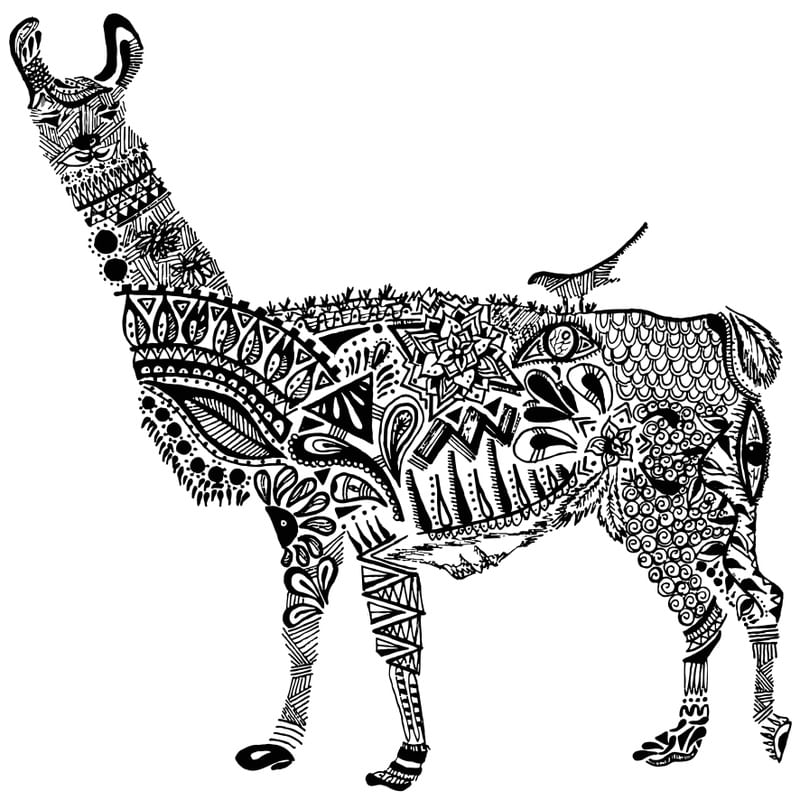 LLAMA MAORI