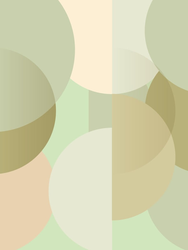 OLIVAR 03