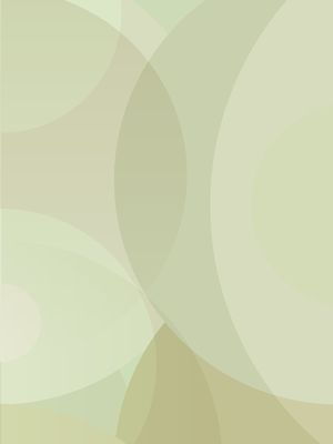 OLIVAR 07