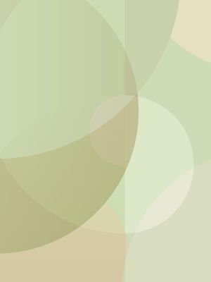 OLIVAR 06