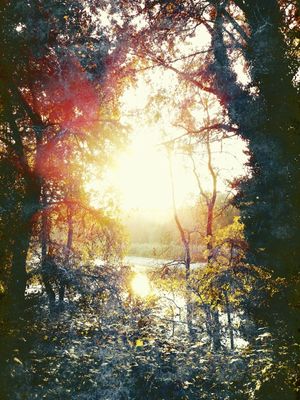 SUNSET GIFT