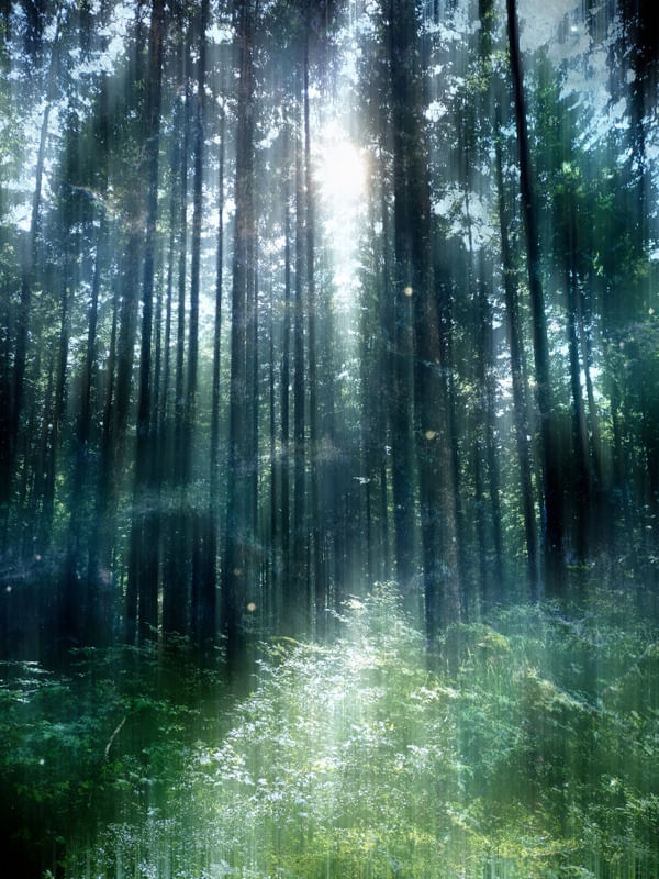 GREEN DREAMS