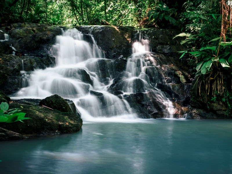 CACHOEIRA HC