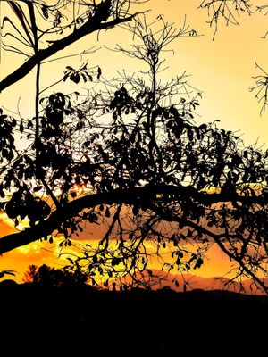 SUNSET FLORAL TRIPTICO 1