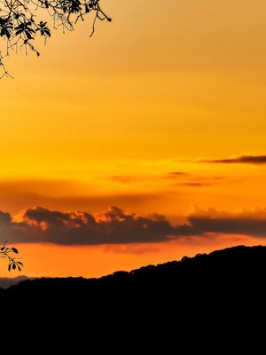 SUNSET FLORAL TRÍPTICO 3
