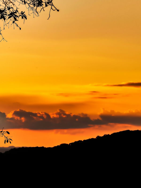 SUNSET FLORAL TRÍPTICO 3