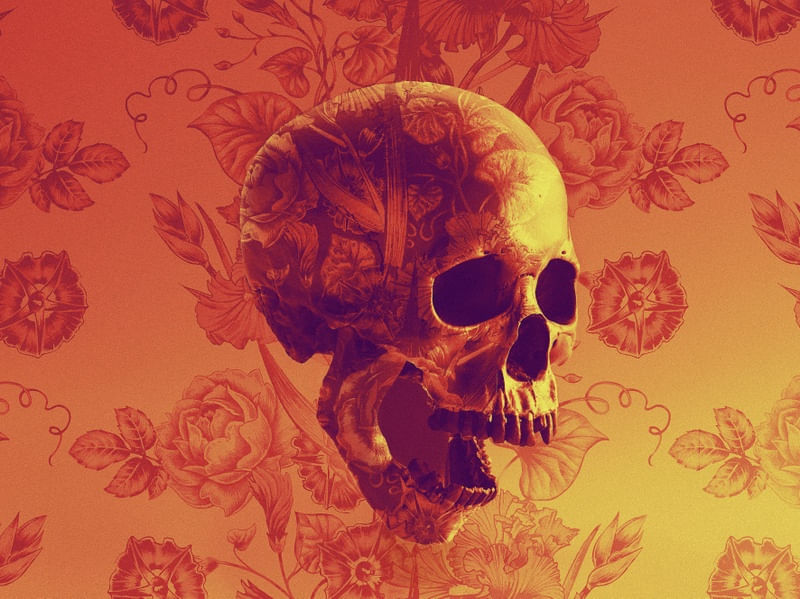 SKULL OF ROSES PAISAGEM
