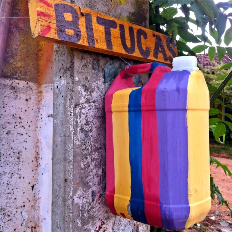 COLORIDO DA BITUCA