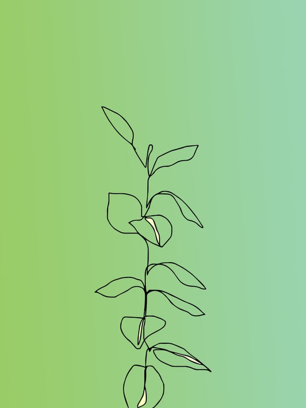 SIMPLE NATURE