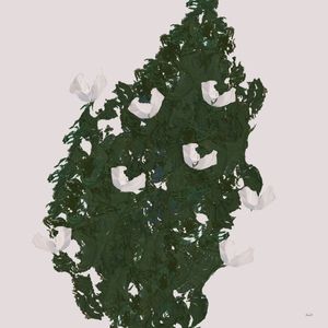 COMPOSIÇÃO PLANTA E FLORES
