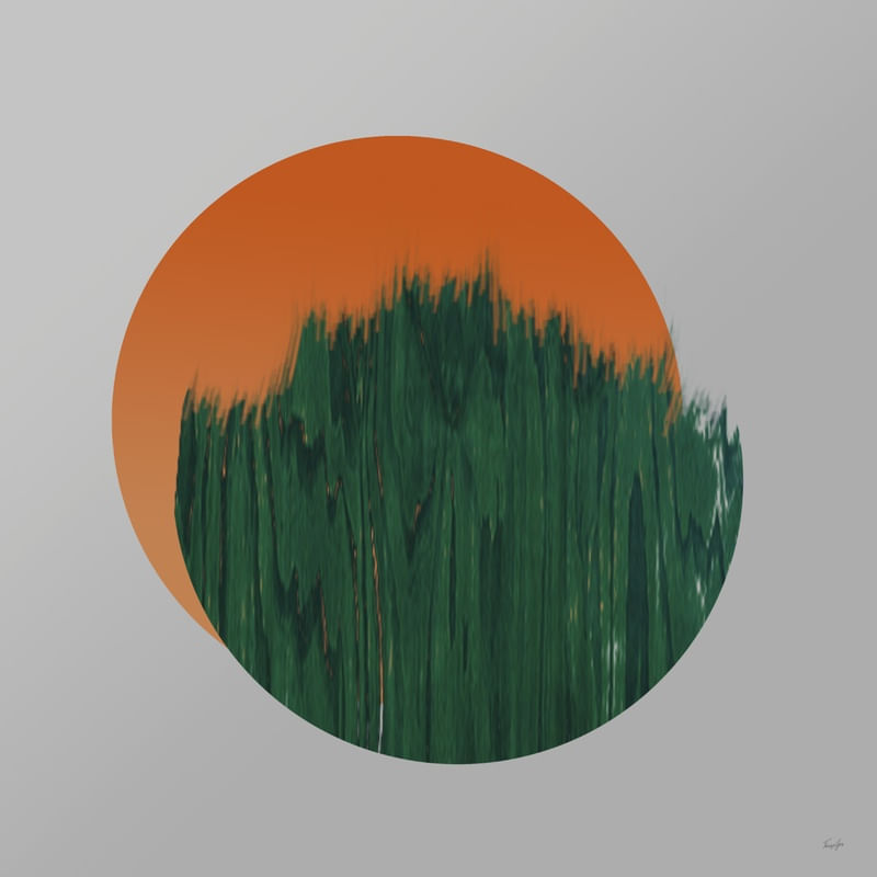 COMPOSIÇÃO SOL-MATO