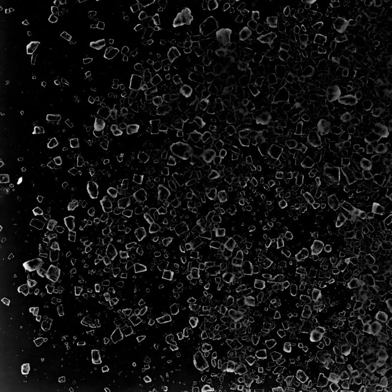 SAL 005A