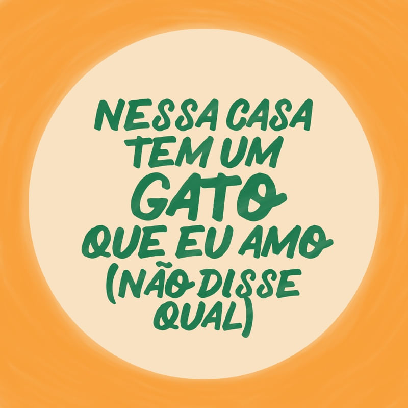 GATO QUE EU AMO