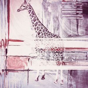 GIRAFFE TAS P02
