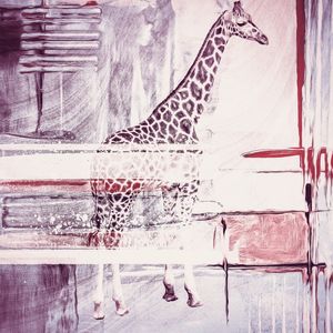 GIRAFFE TASP1