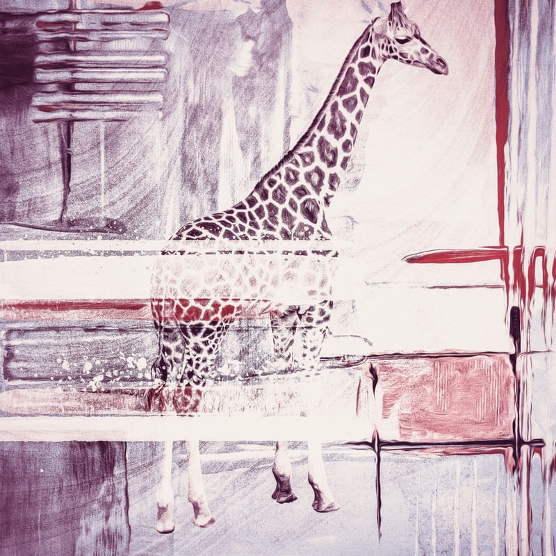 GIRAFFE TASP1