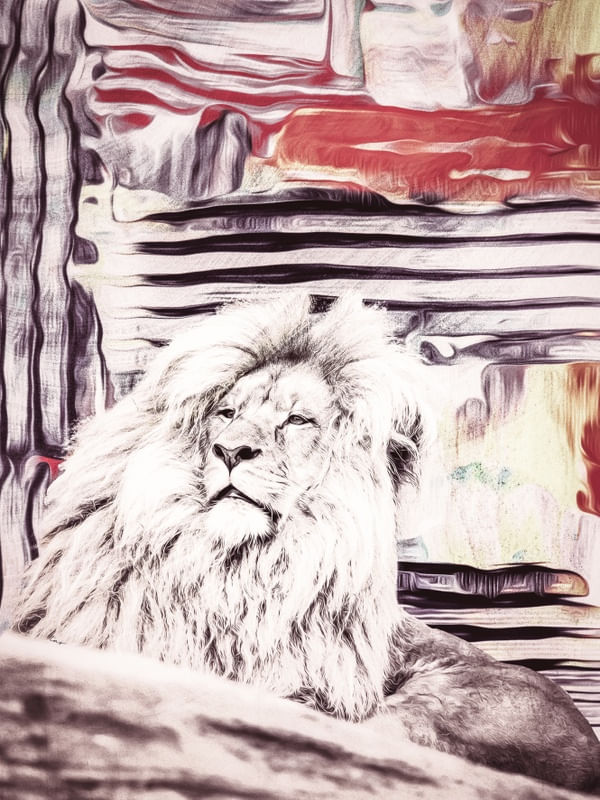 KING TAS