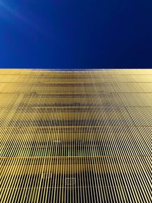 YELLOWFRONT