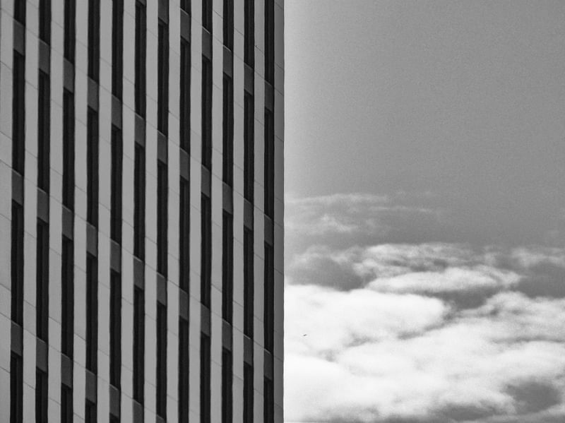 ÍCONES DE SÃO PAULO: LINHAS ARQUITETÔNICAS