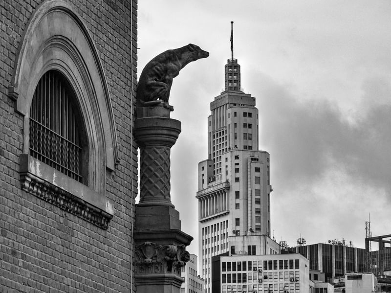 ÍCONES DE SÃO PAULO: O GUARDIÃO DO MUSEU CATAVENTO