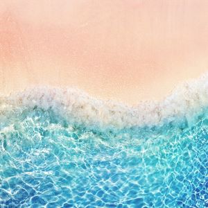TROPICAL XXII