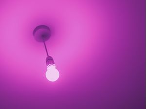 A IDEIA ROSA