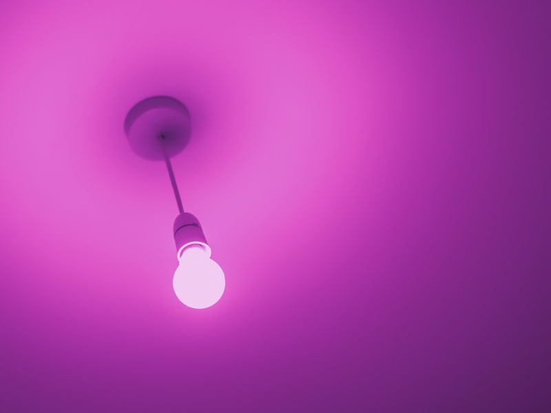 A IDEIA ROSA