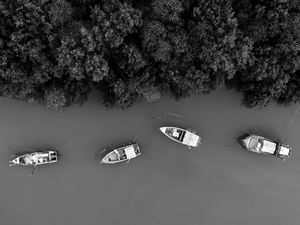 BARCOS AO MAR II