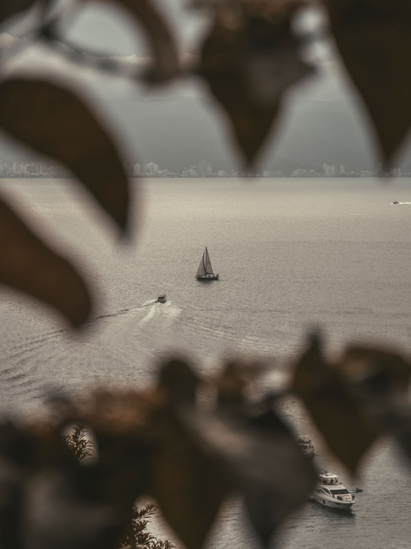 SOLITARY SAILBOAT