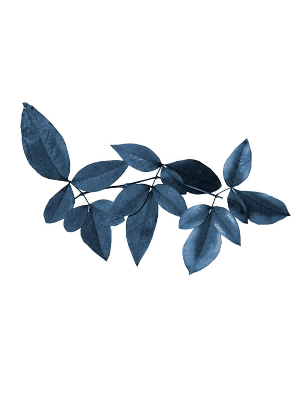 FLOWL BLUE 1
