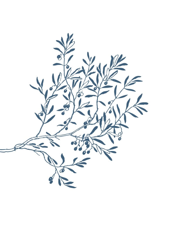 FLOWL BLUE 2