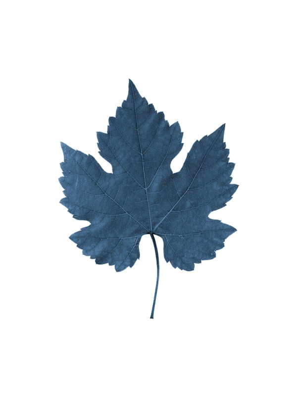 FLOWL BLUE 7